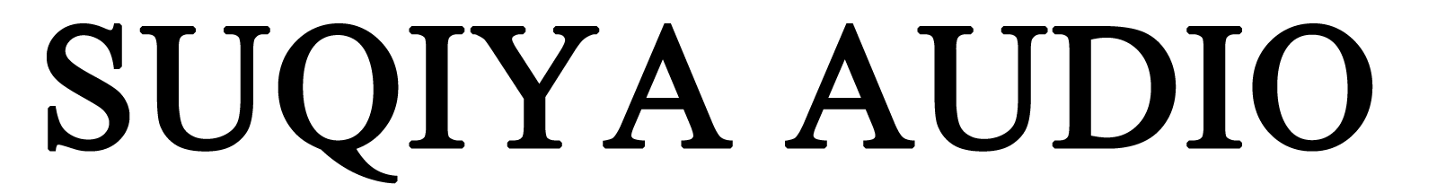 SUQIYA HIFI AUDIO Store